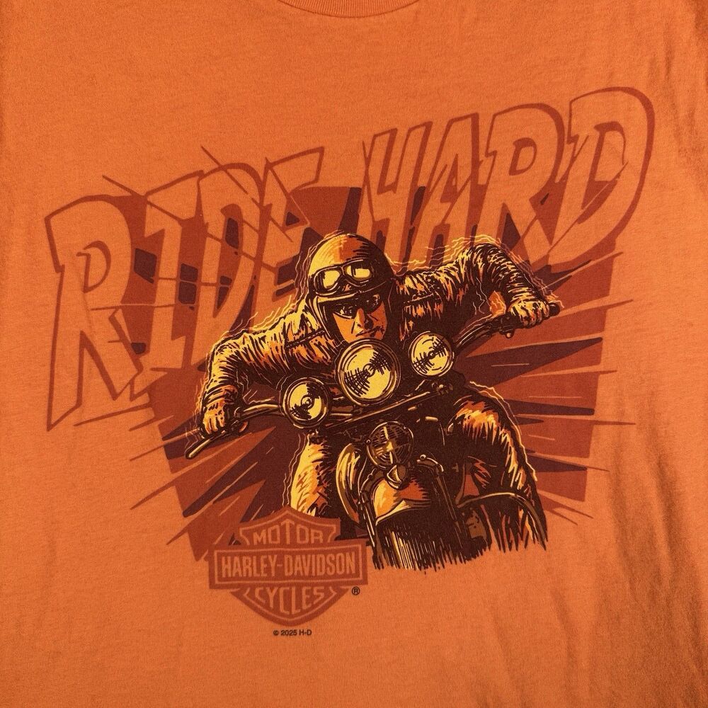 Harley Davidson T Shirt Mens Size Large Orange Ride Hard Capetown South Africa